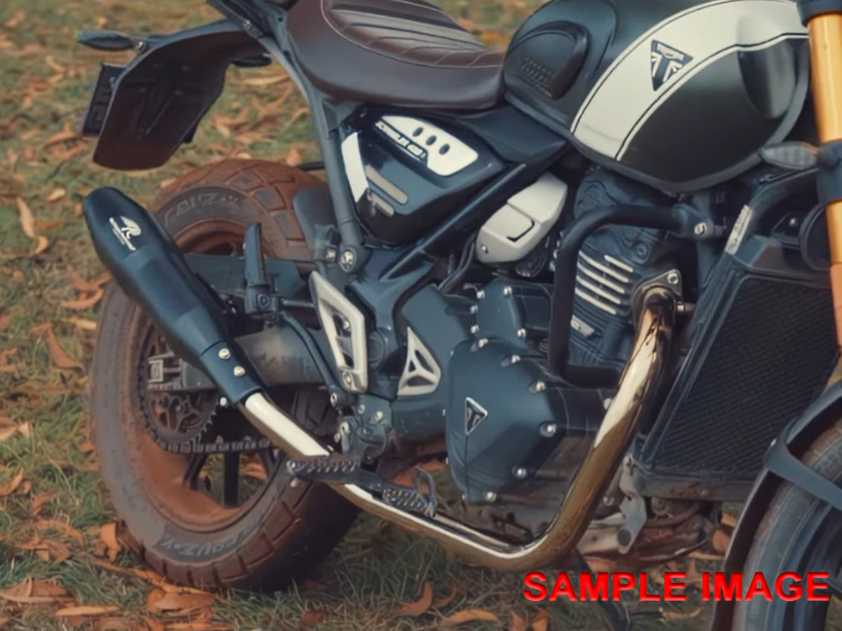 For Triumph Speed 400 Red Rooster Blaze Exhaust Silencer Black