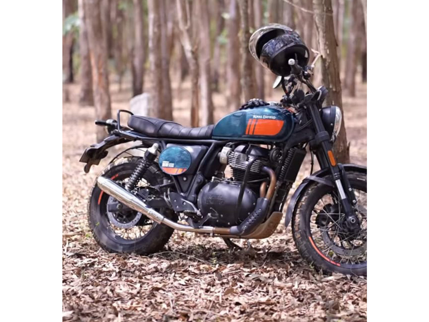 Fit For Royal Enfield Bear 650 Steller X Red Rooster Exhaust Silencer Polished